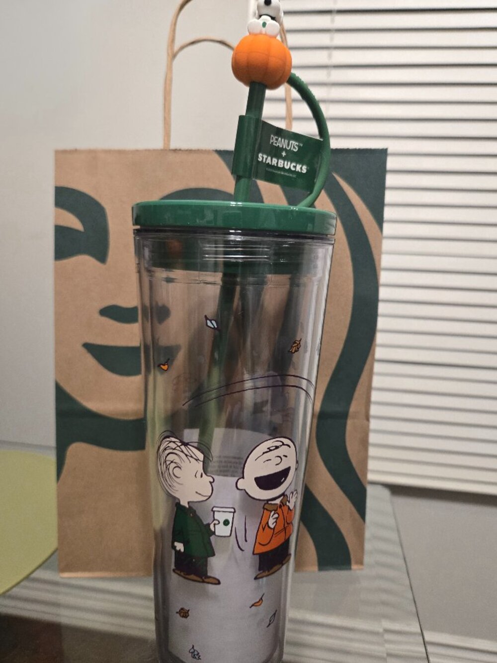 Starbucks x Peanuts Snoopy Clear Cold Cup